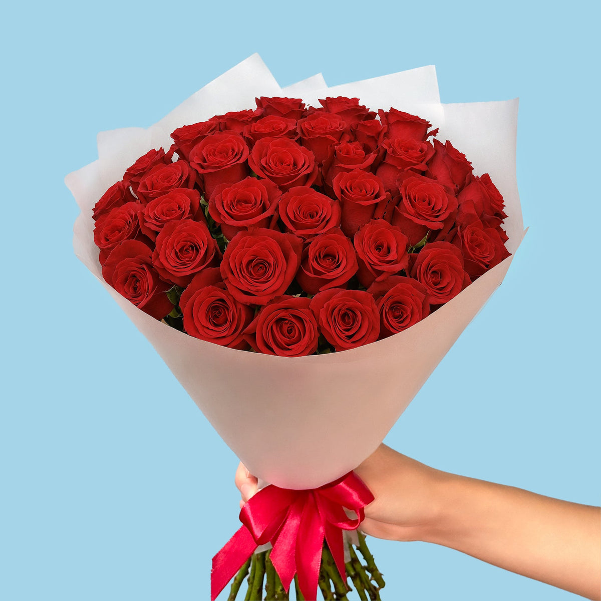 35 Red Roses from Kenya #3