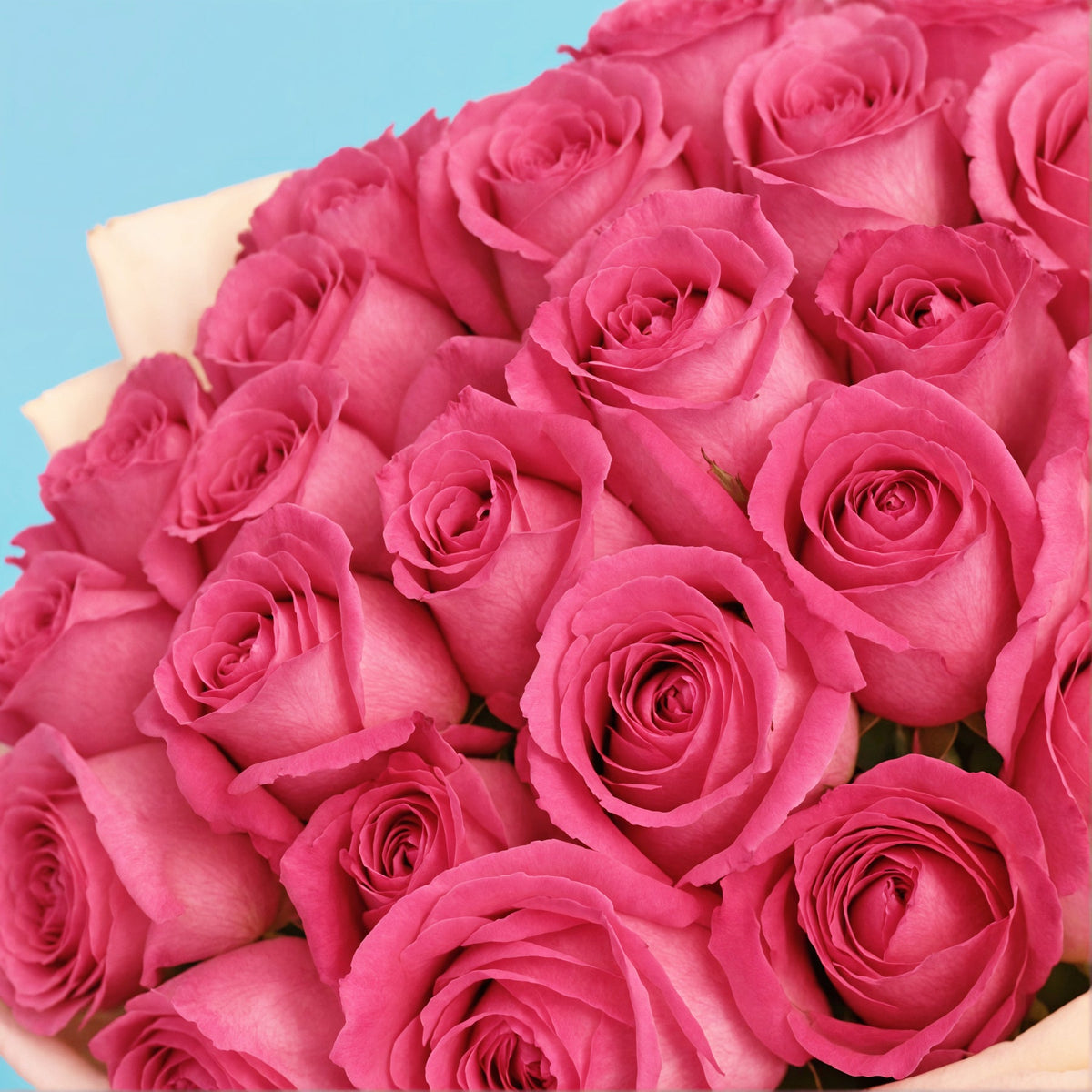 Bouquet of 30 Pink roses #4