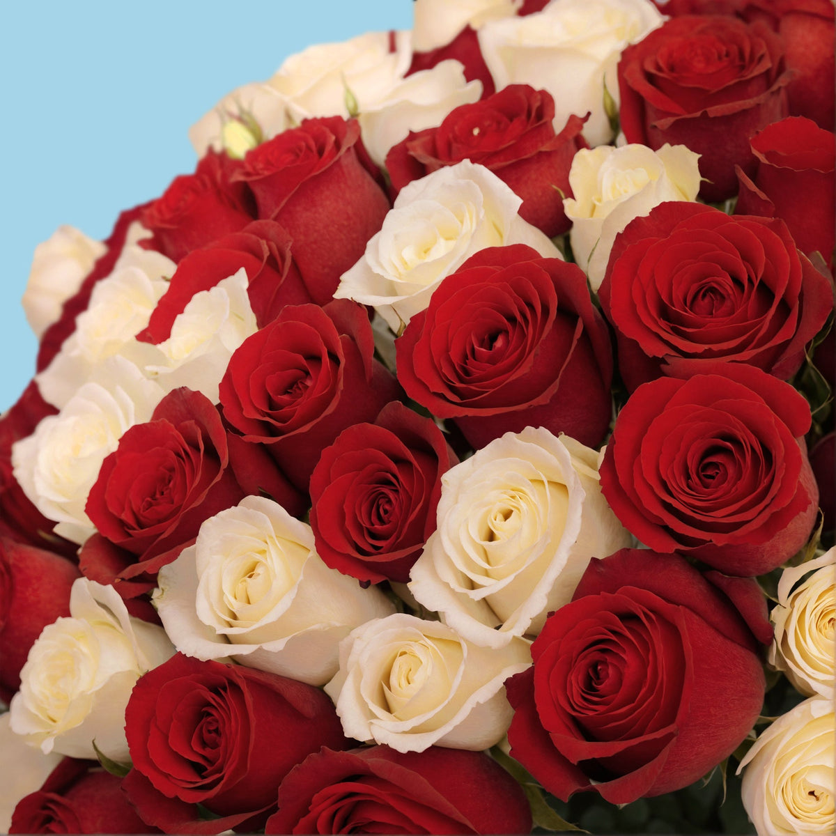 Bouquet of 100 White and Red roses #4