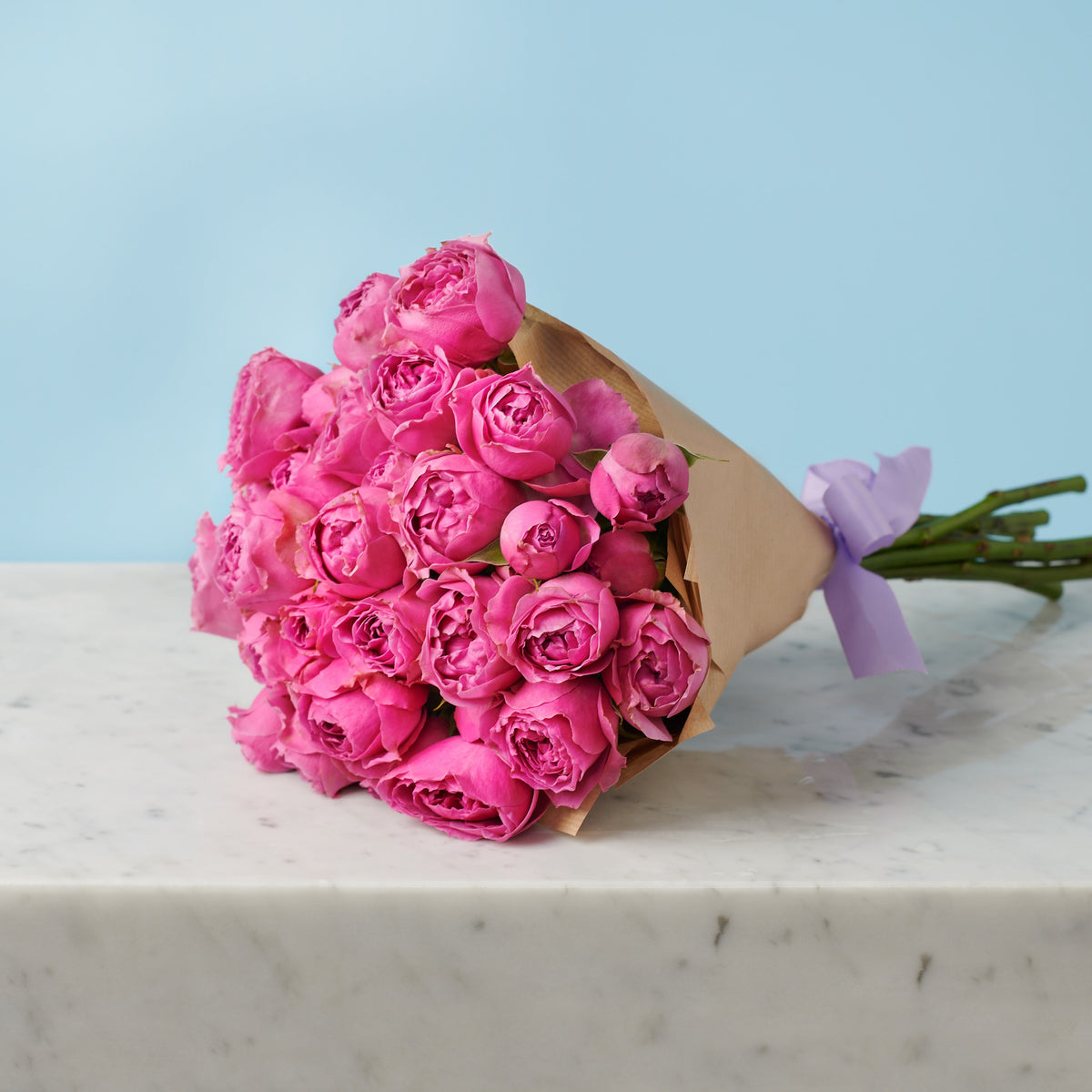 5 Peony Pink Roses #4
