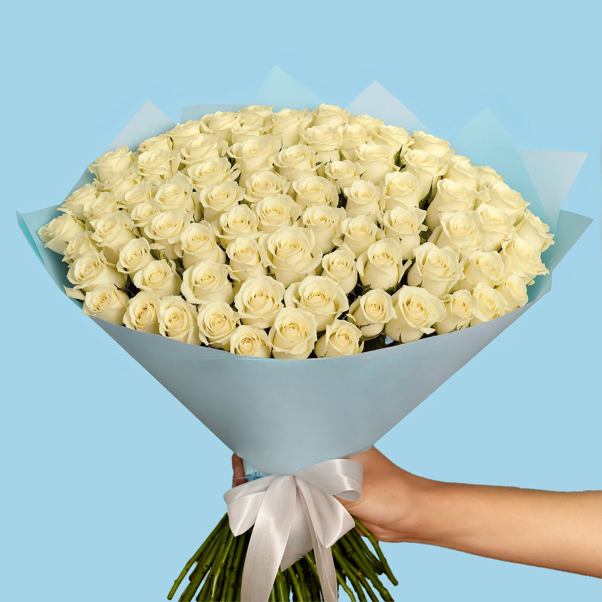 Bouquet of 100 White roses #3