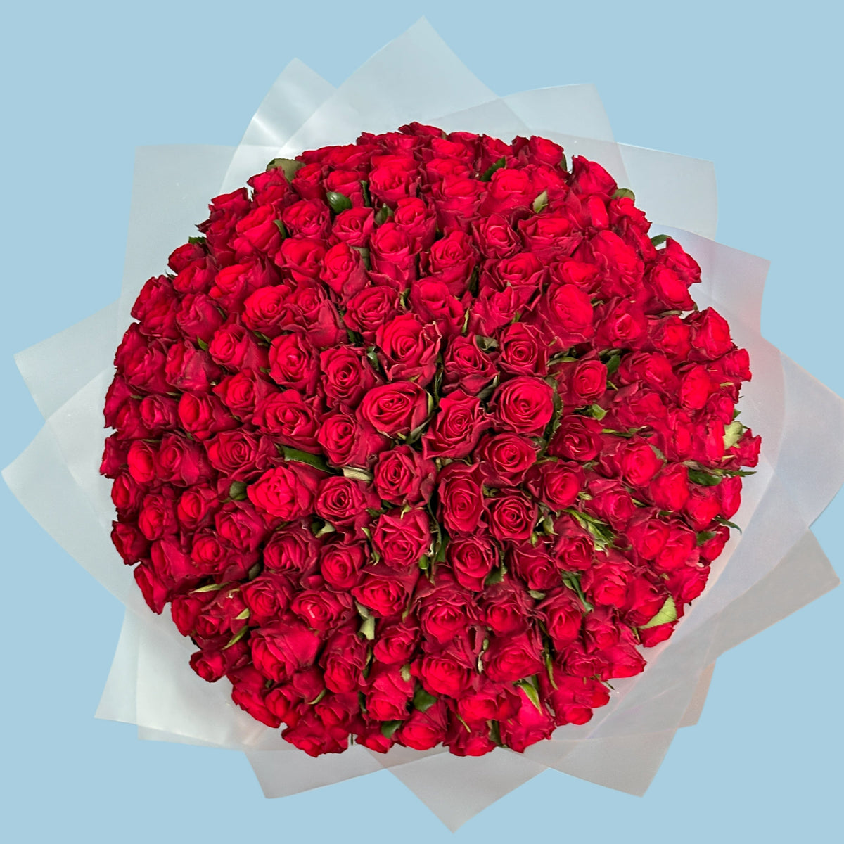 150 Red Roses from Kenya #2