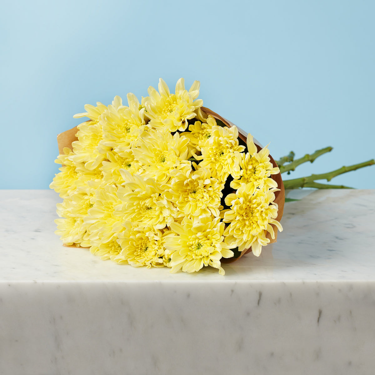 Snowy Bouquet #2