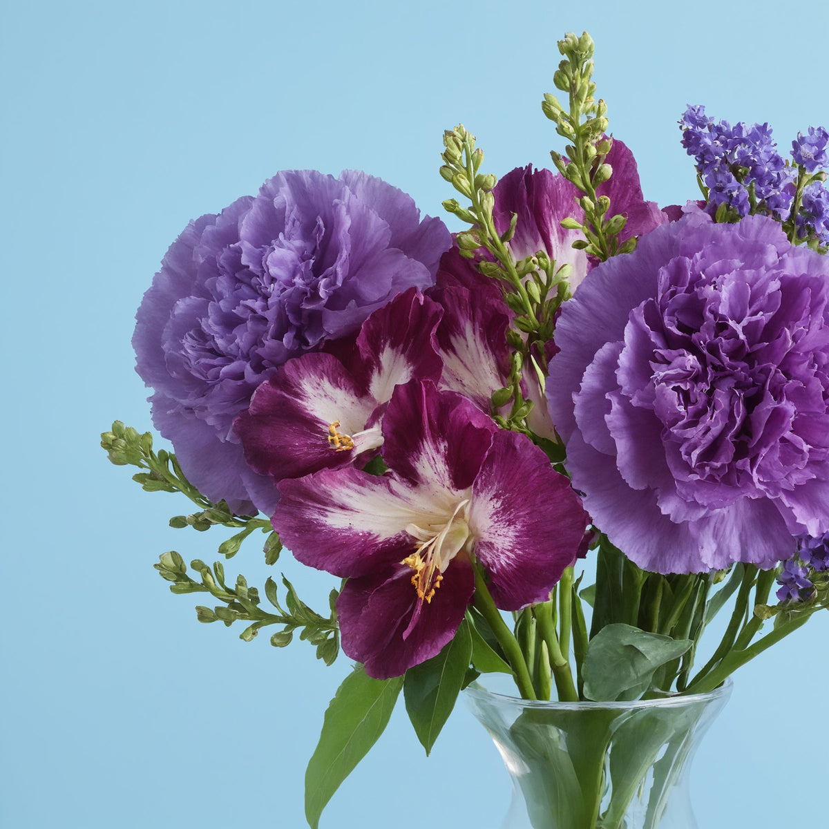 Purple Composition #3