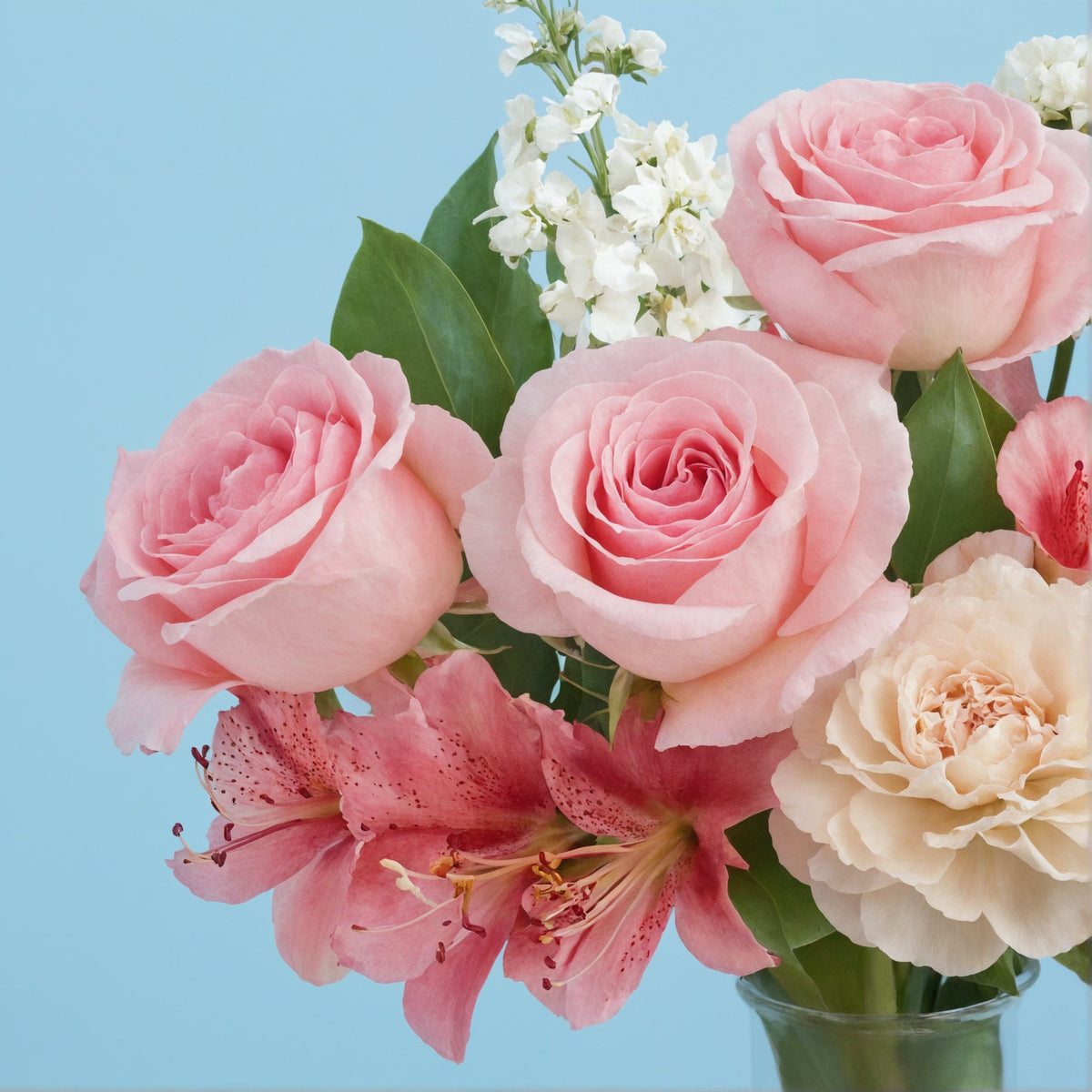 Carnation Corner #2