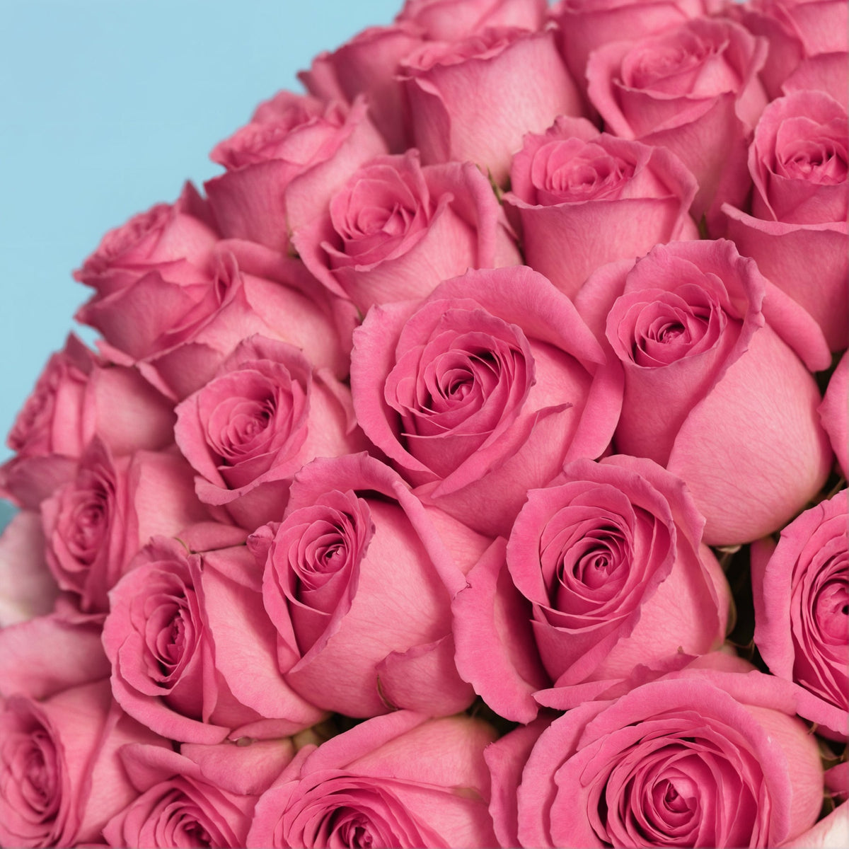 Bouquet of 30 Pink roses #8
