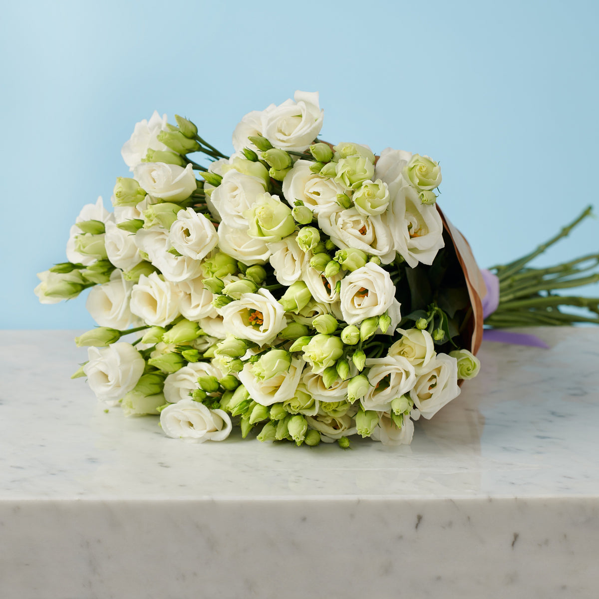 12 White Lisianthus #2