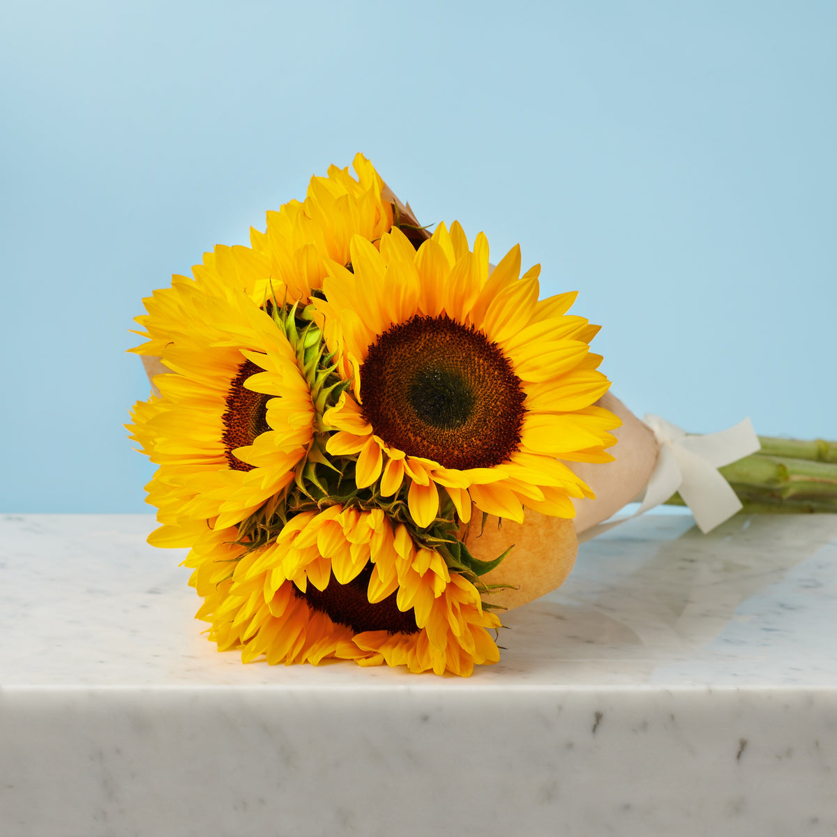 5 Sunflowers #3