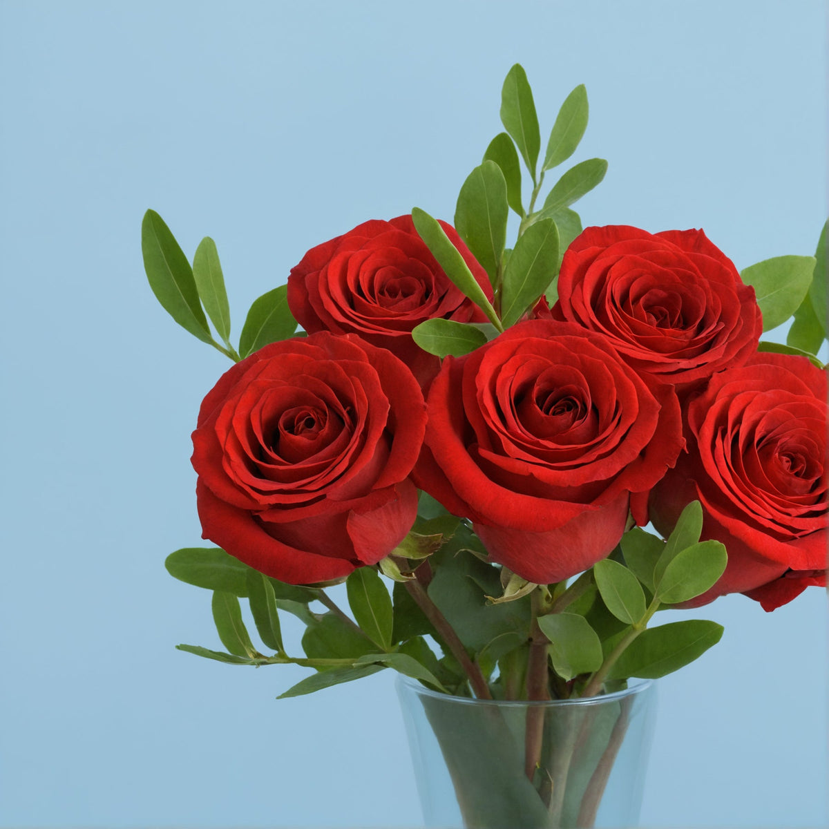 Rose Letterbox #3