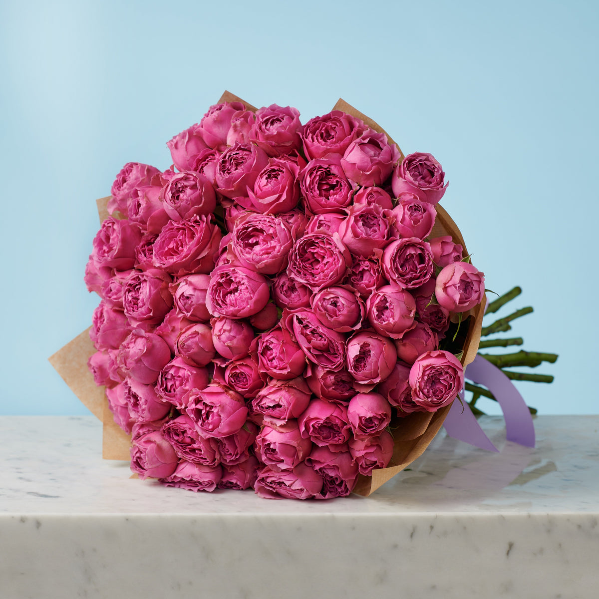 20 Peony Pink Roses #4