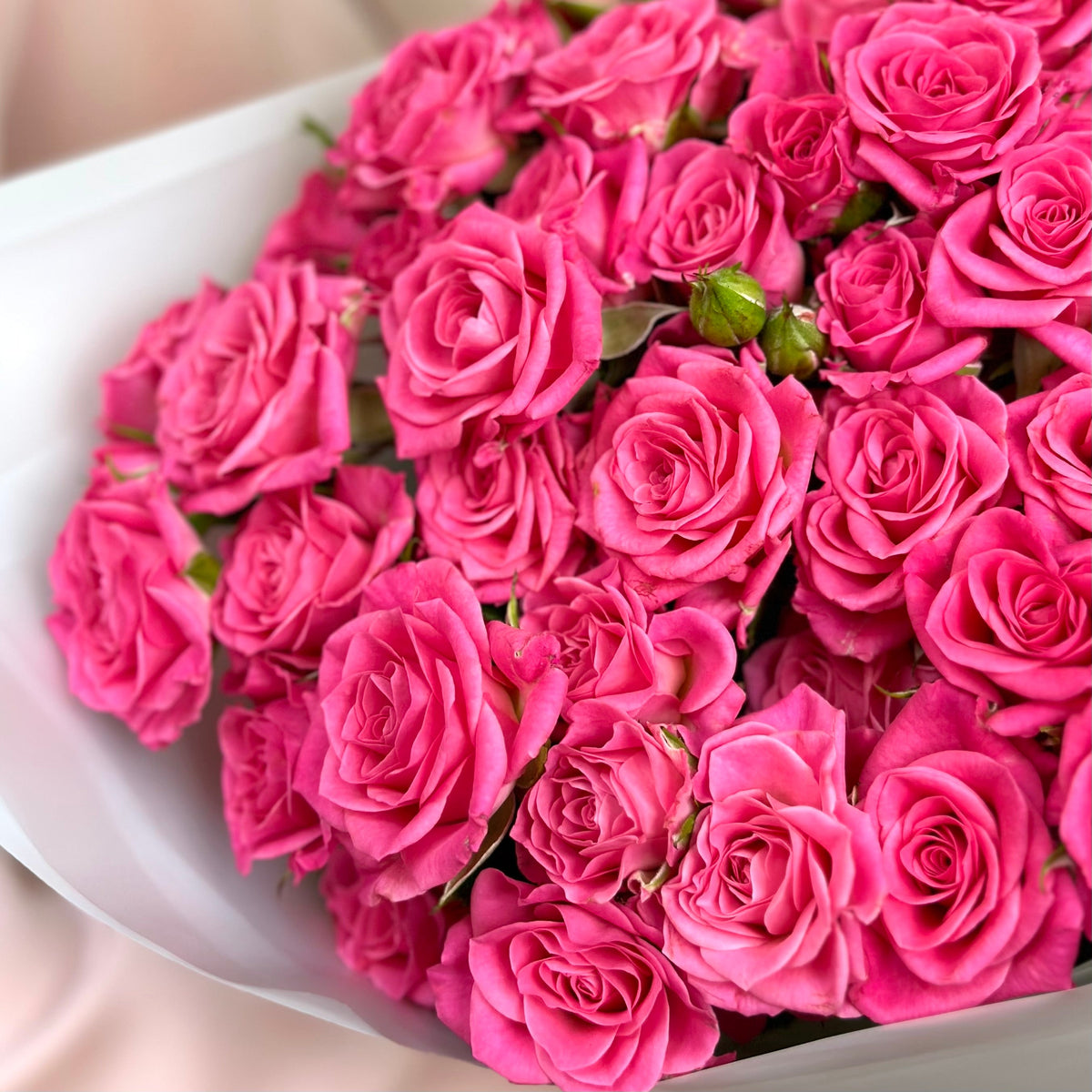17 Spray Pink Roses #3