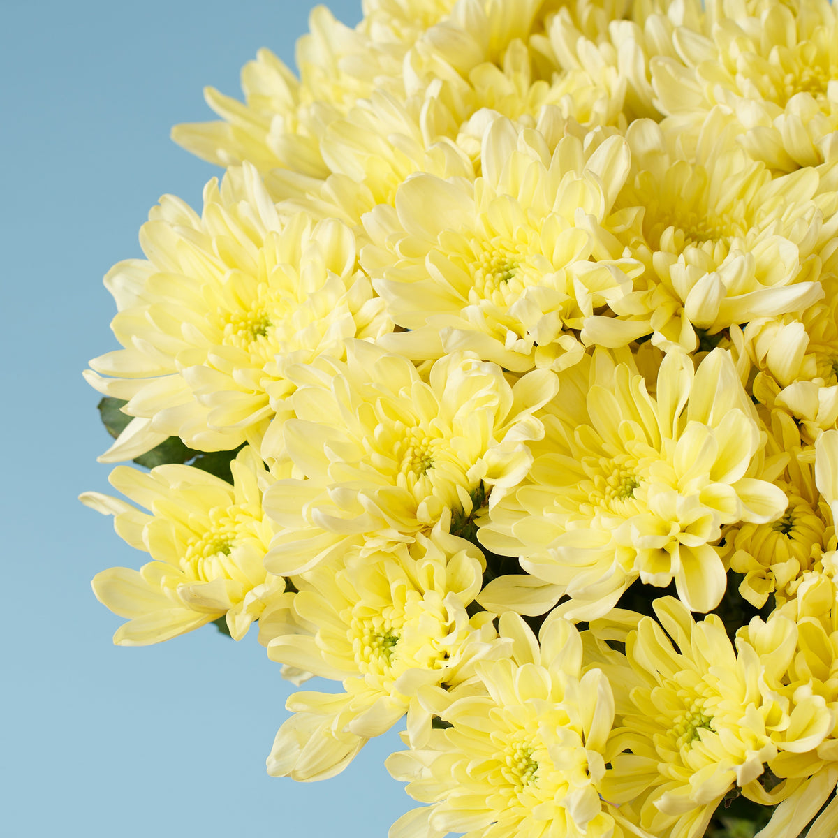Snowy Bouquet #3