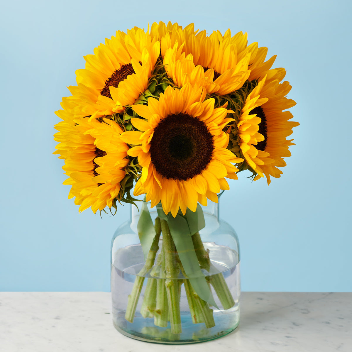 10 Sunflowers #2