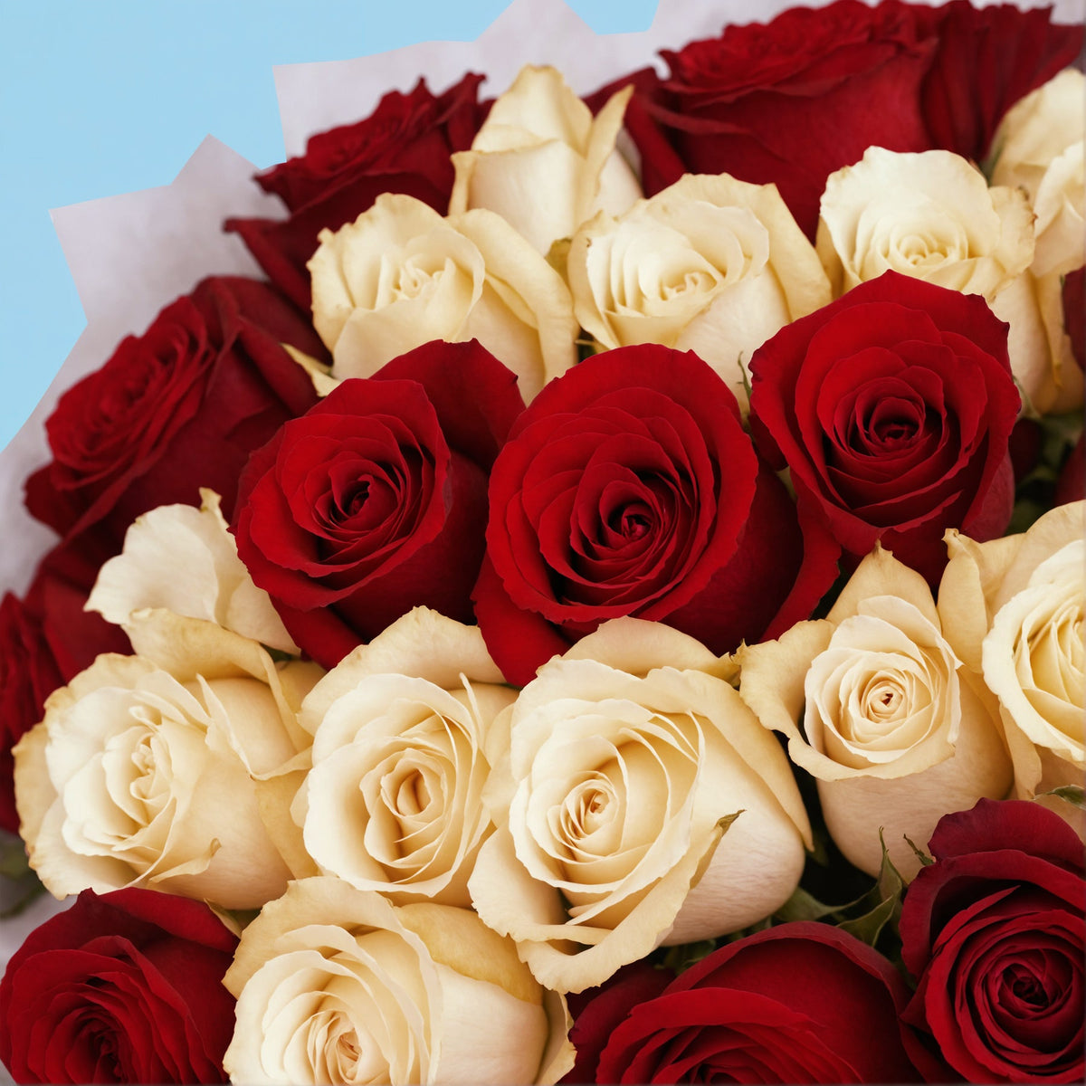 Bouquet of 50 White and Red roses #4
