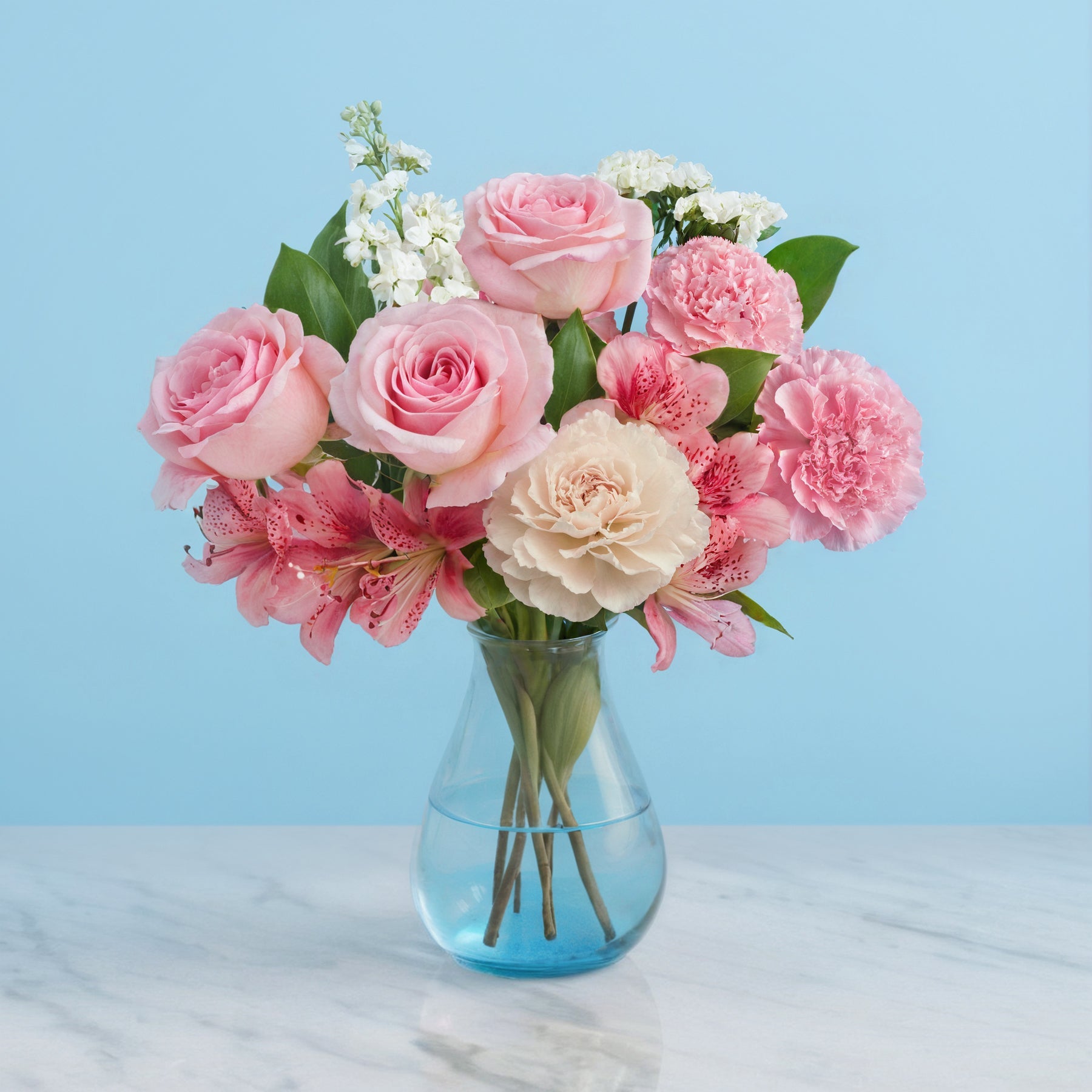Carnation Corner #1