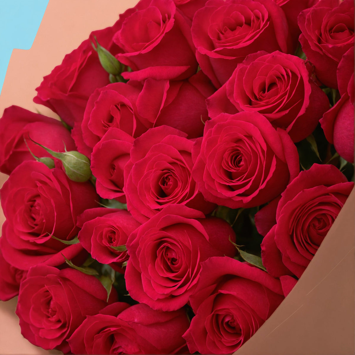 Bouquet of 30 Hot Pink roses #4