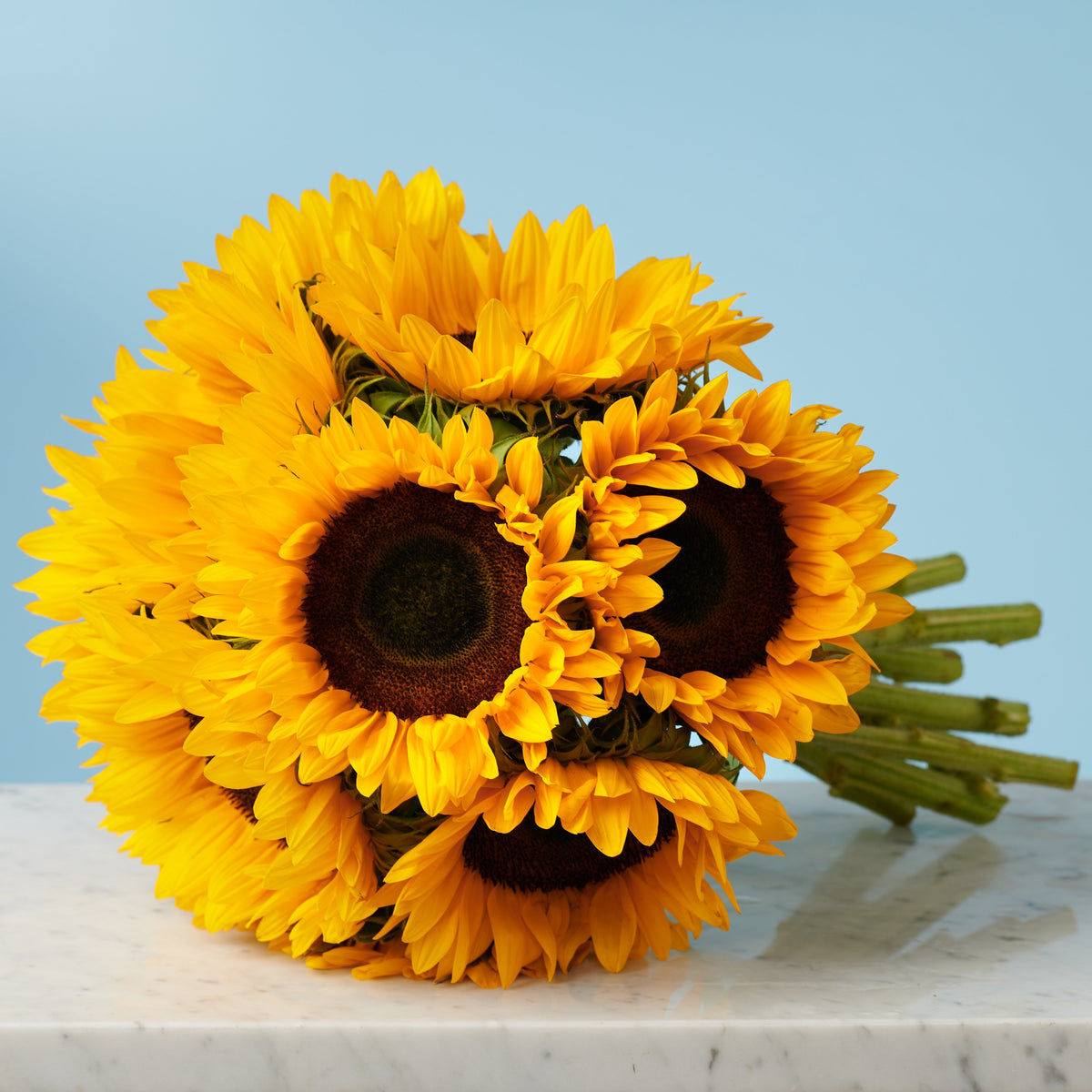 10 Sunflowers #4