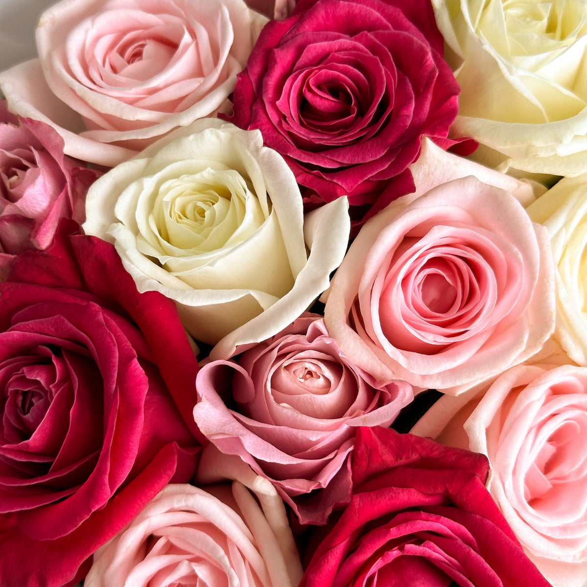 Cute Roses Mix #3