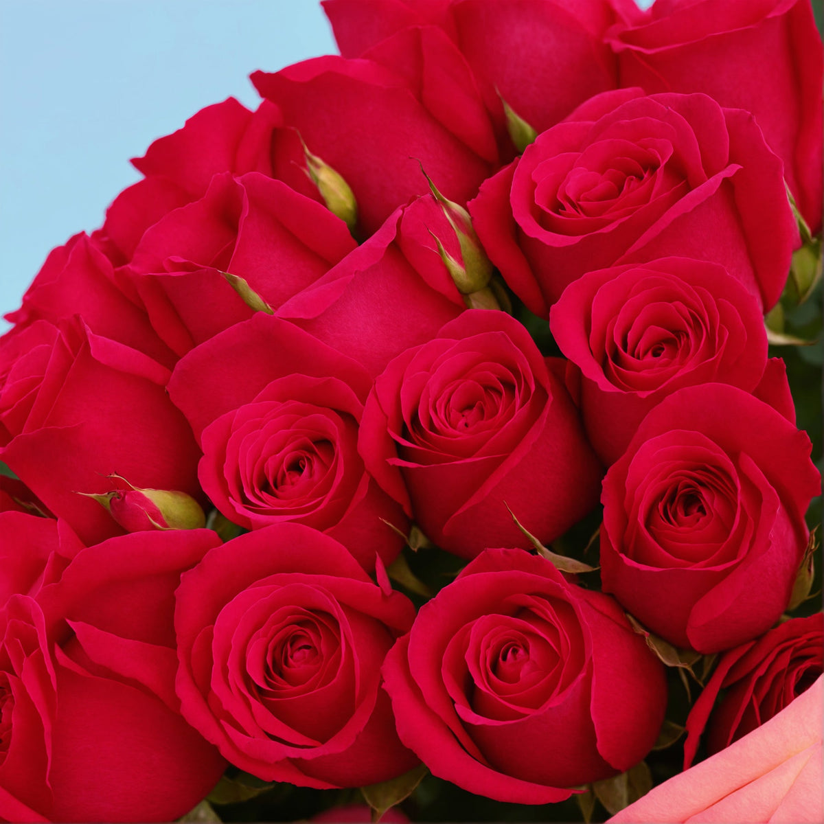 Bouquet of 50 Hot Pink roses #4