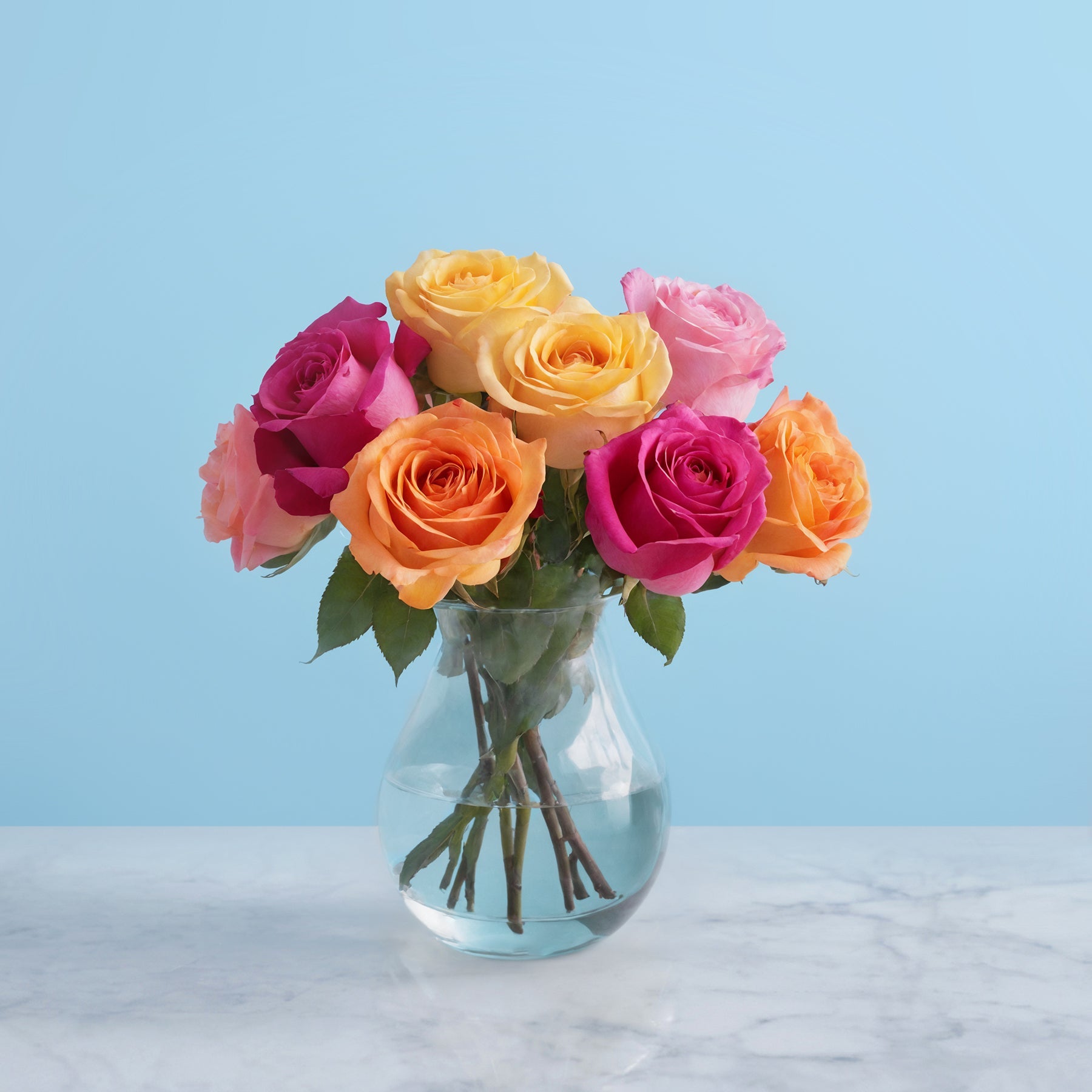 Colourful Roses #1