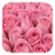 Pink / Small-sized roses / 20