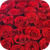 Red / Small-sized roses / 20